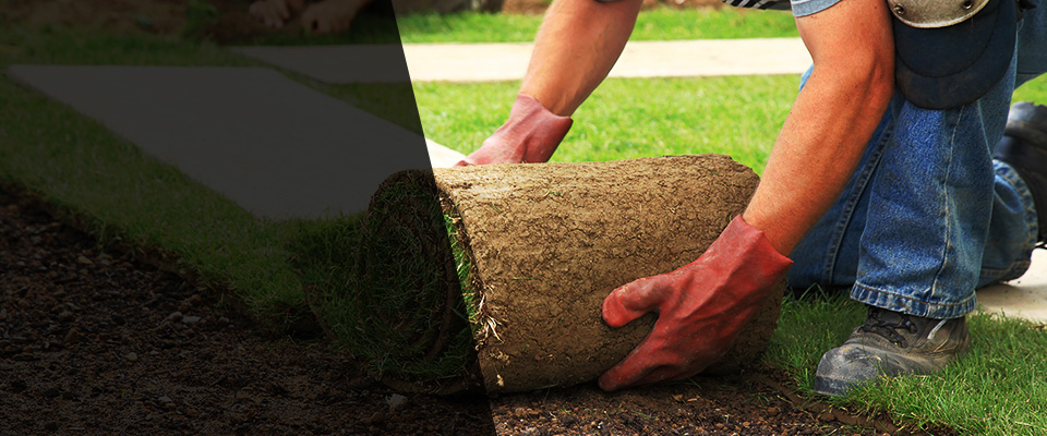 San Dimas Landscapers